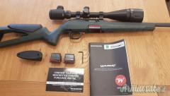 Winchester wlidcat .22 Long Rifle