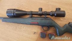 Winchester wlidcat .22 Long Rifle