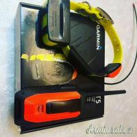 Dispositivo GPS portatile Garmin Alpha 300 con collare TT15, perfettamente funzionante.