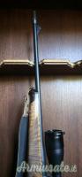 Sauer 202 .300 Winchester Magnum