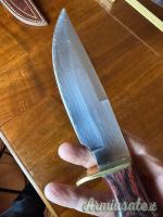 Coltello Muela Ranger