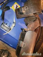 Garmin Alpha 200 con 1 collare T20 e 1 colletto Tt15x