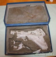 N°3 Scatole per Sig 210