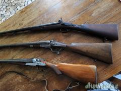 tre doppiette una ad avancarica, una con canne torciglione, una beretta cani esterni