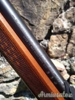 Winchester 290 .22 Long Rifle