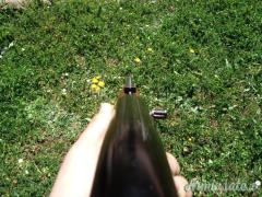Winchester 290 .22 Long Rifle