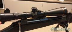 Leupold long range
