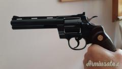 Colt Phyton .357 Magnum  |  9x31mmR  | .353 Casull