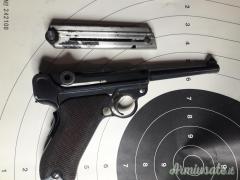 Luger DWM svizzera