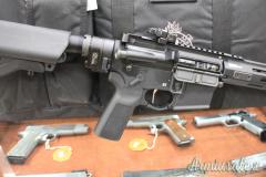 Springfield SAINT .223 Remington