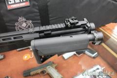 Springfield SAINT .223 Remington