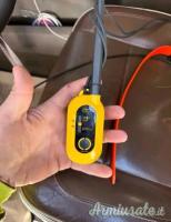 È ora disponibile un sistema di tracciamento Dogthra Pathfinder 2 abbastanza utilizzato