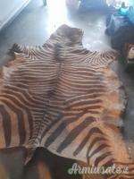 PELLE CONCIATA ZEBRA  DI MONTAGNA