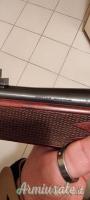 Sako Forester .243 Winchester