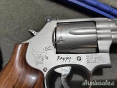Smith & Wesson 686 RAPPY .357 Magnum  |  9x31mmR  | .353 Casull