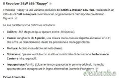 Smith & Wesson 686 RAPPY .357 Magnum  |  9x31mmR  | .353 Casull