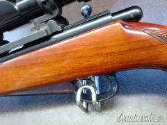 Anschutz  .22 Long Rifle