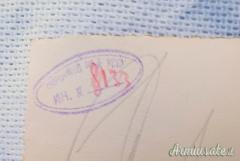 Fotografia epoca nazista che ritrae 7 soldati tedeschi del WEHRMACHT equipaggiati e con elmetti