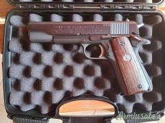 Colt Government .45 ACP