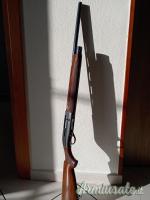 Beretta URIKA 2 20