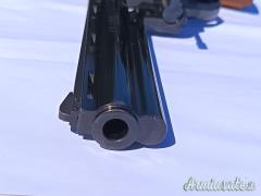 Colt Python .357 Magnum  |  9x31mmR  | .353 Casull