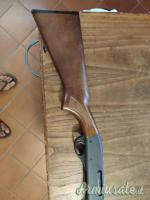 Remington 870 espress .410