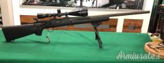 Remington 700 .308 Winchester