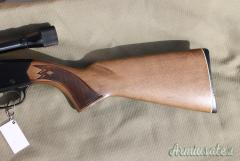 Carabina WINCHESTER mod. 290 con ottica (64)