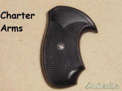 Revolver charter arms