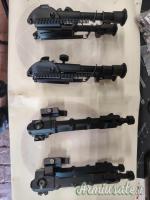 Bipiedi di vario tipo