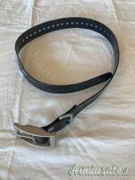 Garmin Alpha 100 con collare TT 15 Dog Tracking a 399,00€