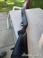 Beretta A300 outlander 12