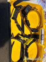 Vendo Kit Bitrabi 4 collari + 1 palmare, 2 caricatori collari e 1 caricatore auto .