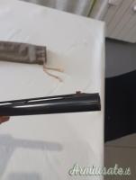 Canna Benelli  x Montefeltro  cal 20
