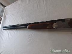 Beretta White Wing  20