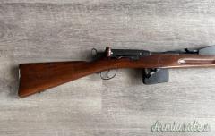 SCHMIDT RUBIN 1889-96