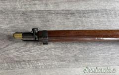 SCHMIDT RUBIN 1889-96