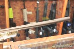 Franchi ORIZON VARMINT ELITE SUBALPINE .223 Remington