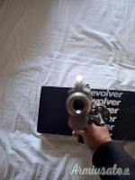 Smith & Wesson 686-3 .357 Magnum  |  9x31mmR  | .353 Casull