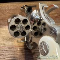 Colt Detective Special .32 S&W Long