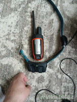 Garmin Astro 320 con collare DC 50 TUTTO FUNZIONA PERFETTAMENTE