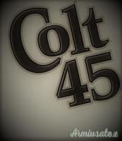 Colt combat elite .45 ACP