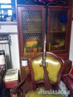 Carabina di libera vendita.