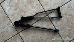 Chiappa Armi Little badger  .22 Long Rifle