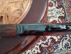 Zoli Antonio Kronos 12