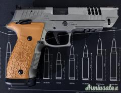 Steyr Mannlicher Atc rock  9x19mm Parabellum | Luger | NATO