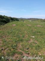 Ruger | Sturm Precision .308 Winchester