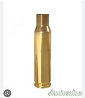 Bossoli 308 Wincester GECO