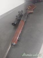 Remington 742 custom