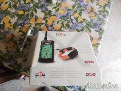 Collare dog trace x20